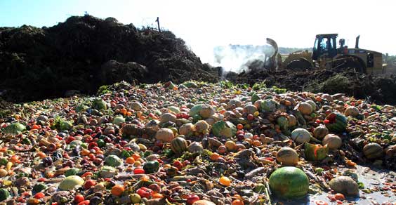 food-waste